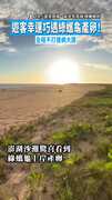 【天選之人！】遊客幸運巧遇綠蠵龜產卵！　全程不打擾網大讚