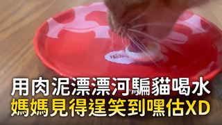 用肉泥漂漂河騙貓喝水　媽媽見得逞笑到嘿估XD
