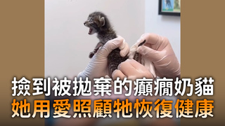 撿到被拋棄的癲癇奶貓　她用愛照顧牠恢復健康