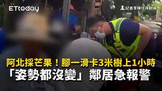 阿北採芒果！腳一滑卡3米樹上1小時　「姿勢都沒變」鄰居急報警