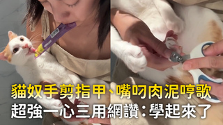 貓奴手剪指甲、嘴叼肉泥哼歌　超強一心三用網讚：學起來了