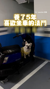 【總是坐錯車的法鬥】一臉疑惑看爸媽堅持不換位XD