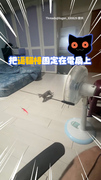 【DIY自動逗貓機】電風扇+逗貓棒讓奶貓玩耍累到睡著