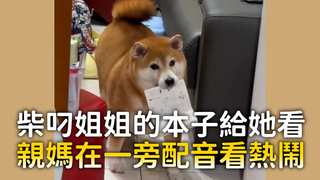 柴叼姐姐的本子給她看　親媽在一旁配音看熱鬧