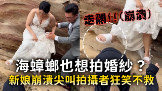 海蟑螂也想拍婚紗？　新娘崩潰尖叫拍攝者狂笑不救