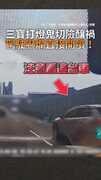 【方向燈是無敵星星？】三寶打燈鬼切險釀禍 駕駛嚇爛直接開噴！