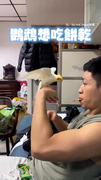 【給偶吃～】貪吃鸚鵡搶食餅乾　激烈攻勢換來親嘴秒呆住XD
