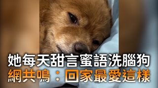 她每天甜言蜜語洗腦狗　網共鳴：回家最愛這樣