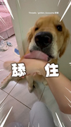【這舌頭好黏XD】不小心咬太大力！阿金狂舔姐手求原諒