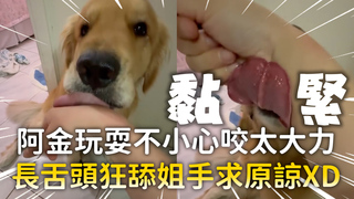 阿金玩耍不小心咬太大力　長舌頭狂舔姐手求原諒XD
