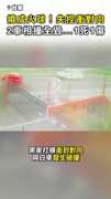【燒成火球】疑失控猛衝對向！ 2車相撞全毀...1死1傷