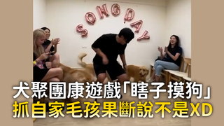 犬聚團康遊戲「瞎子摸狗」　抓自家毛孩果斷說不是XD