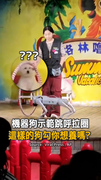 【真狗傻眼】這樣的狗勾你想養嗎？機器狗示範跳呼拉圈