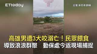 高雄男遭3犬咬溺亡！民眾餵食導致浪浪群聚　動保處今返現場捕捉