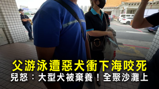 父游泳遭惡犬衝下海咬死　兒怒：大型犬被棄養！全聚集沙灘上