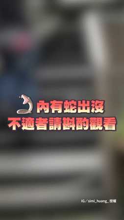【車裡有蛇？】他居然徒手抓出來！網友全跪了????????‍