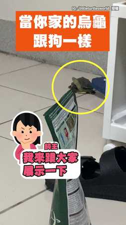 【其實這隻烏龜是狗吧？】飼主搖飼料包　烏龜見狀立刻衝過來