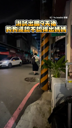 【出國9天回來測試愛犬】路過時被狗狗狂盯反覆確認超萌XD