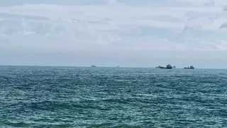 丹娜絲逼近！逾20艘大陸貨輪越界躲避颱風　海巡出艇驅離