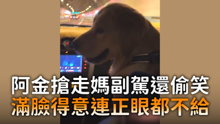 阿金搶走媽副駕還偷笑　滿臉得意連正眼都不給