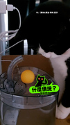 【奴才沒繳電費？】萌貓喝水突停電！傻眼呆愣超可愛