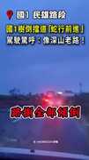 【國道變山路】國1整排樹倒擋道！駕駛被迫「蛇行」