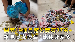 開宰19個月豬公竟有27萬+　網見滿滿錢海：比我身家多