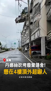 【搖搖欲墜】丹娜絲吹垮鴿舍！懸4樓頂超驚險O_O