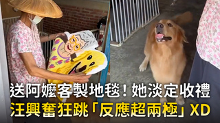 送阿嬤客製地毯！她淡定收禮　汪興奮狂跳「反應超兩極」XD