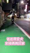 【連狗都沒發現】爸帶愛犬接送媽媽卻直接路過...