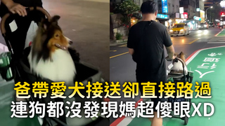 爸帶愛犬接送卻直接路過　連狗都沒發現媽超傻眼XD