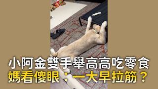 小阿金雙手舉高高吃零食　媽看傻眼：一大早拉筋？