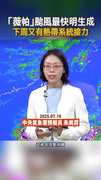 【薇帕颱風】最快明天生成將影響台灣天氣　下周又有熱帶系統接力