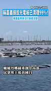 【現場確認】稱嘉義損毀光電板已清理99%！　黃國昌秀慘況打臉經濟部