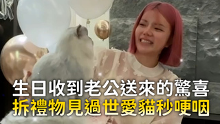 生日收到老公送來的驚喜　拆禮物見過世愛貓秒哽咽