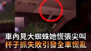 車內見大蜘蛛她慌張尖叫　杯子抓失敗引發全車慌亂