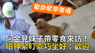阿金見妹子帶零食來訪！　眼神緊盯乖巧坐好：歡迎