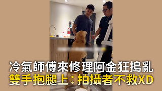 冷氣師傅來修理阿金狂搗亂　雙手抱腿上：拍攝者不救XD