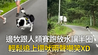 邊牧跟人類賽跑放水讓半圈　輕鬆追上還吠兩聲嘲笑XD