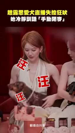 趙露思愛犬直播失控狂吠　她冷靜訓話「手動閉麥」