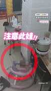 【危機一瞬間】嬰兒玩壓力鍋電線！東西墜落擊中頭QQ