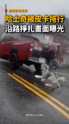 【狗狗狂掙扎】埔里驚見哈士奇被皮卡拖行！警方要查了