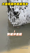 【嘉義太保淹水】家門前淹出小河！鼠鼠狂游求生...下秒竟往池塘游