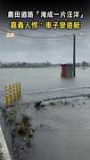 【嘉義水鄉澤國】農田道路「淹成一片汪洋」 嘉義人愣：車子變遊艇