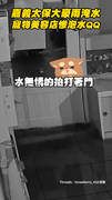 【這算二次傷害嗎】嘉義寵物美容慘泡水！店家看監視器還見水灌進去QQ