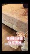 【以後就交給你帶娃了】熟睡女嬰突然爆哭媽沒輒　見爸爸就秒笑！