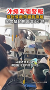 【沖繩海嘯警報】寵物餐廳撤離貓狗　民眾幫毛孩搧風