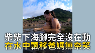 柴柴下海腳完全沒在動 在水中飄移爸媽無奈笑