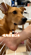 【求分一口】黃狗等爆米花口水狂滴！爸被強制洗腳XD