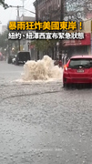 【暴雨狂炸美東】紐約、紐澤西宣布緊急狀態